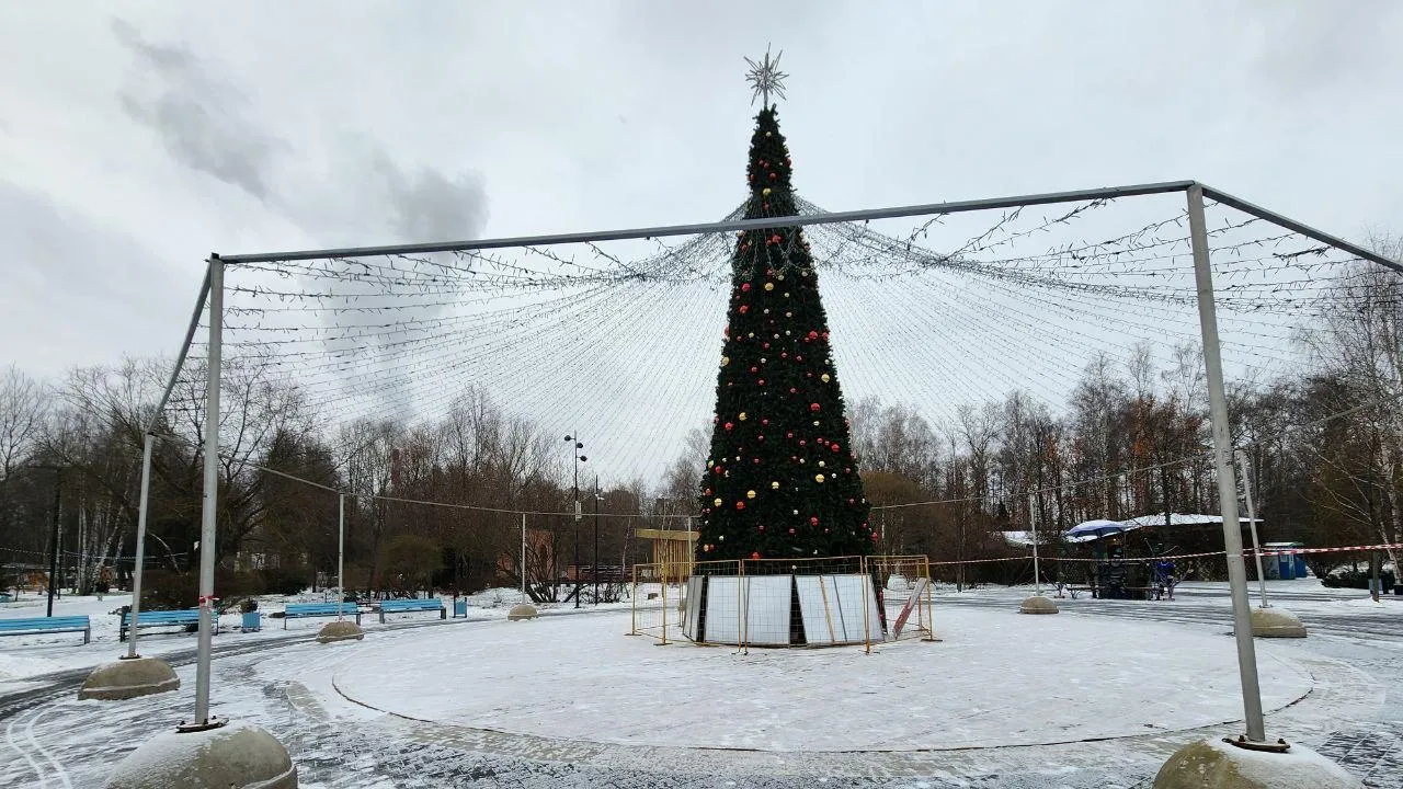 Иллюминация в Центральном парке и огромная елка»: городской округ Мытищи  готовится к Новому Году